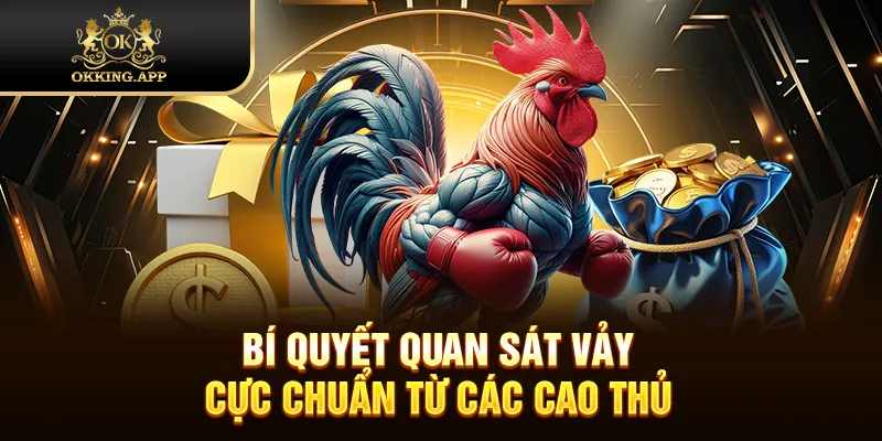 Bí quyết quan sát vảy cực chuẩn từ các cao thủ