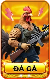 đá gà okking