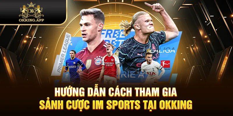 Hướng dẫn cách tham gia sảnh cược IM Sports tại OKKING