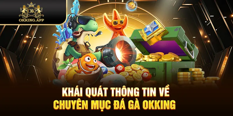 Khái quát thông tin về chuyên mục đá gà OKKING 