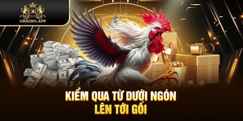 Kiểm qua từ dưới ngón lên tới gối