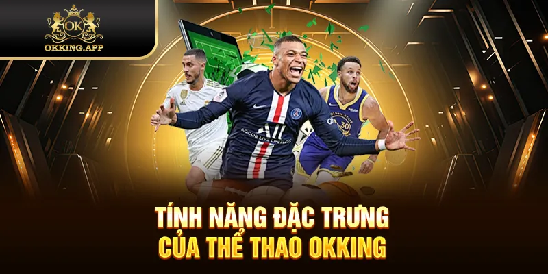 Tính năng đặc trưng của thể thao OKKING