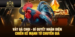 Vảy Gà Chọi - Bí Quyết Nhận Diện Chiến Kê Mạnh Từ Chuyên Gia